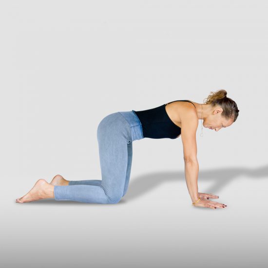 demonstration of Table pose, Bharmanasana in sanskrit