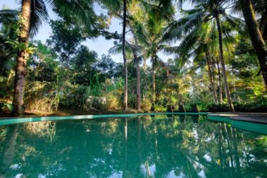 The retreat's pool surrounded by nature